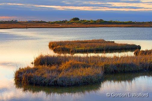 Wetland Hammocks_29678.jpg - Photographed in the Magic Ridge Bird Sanctuary along the Gulf coast near Port Lavaca, Texas, USA.